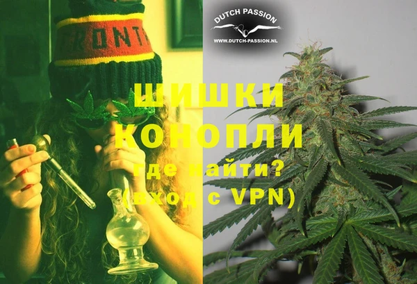 крисы Вязьма