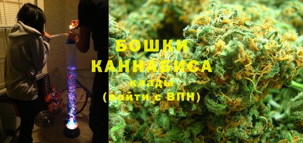крисы Вязьма