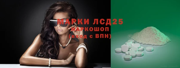 крисы Вязьма