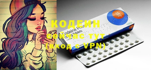 крисы Вязьма