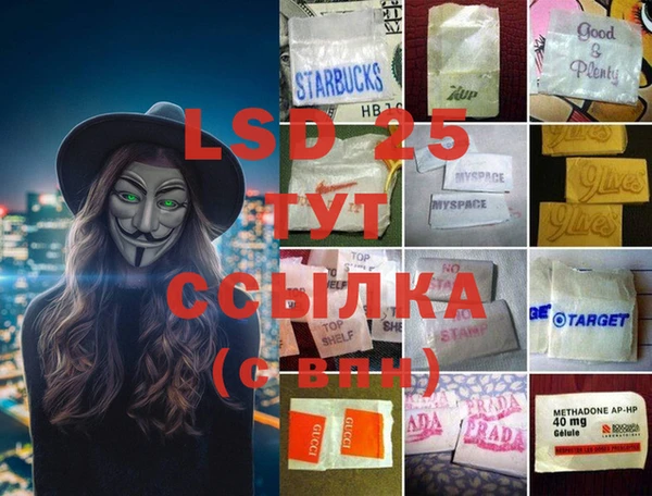 крисы Вязьма