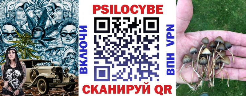 Галлюциногенные грибы Psilocybe  Купить где  Полысаево 
